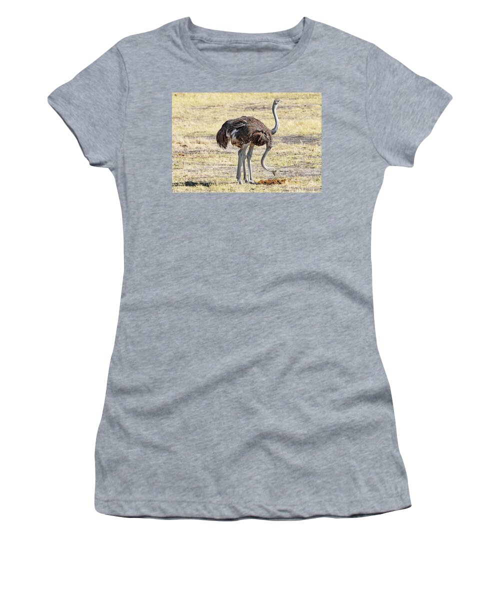 Ostrich Women's T-Shirt featuring the photograph Two-Headed Ostrich by Ted Keller