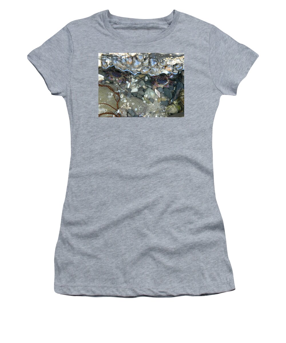 Crabs Women's T-Shirt featuring the photograph Two Little Crabs by Gallery Of Hope 