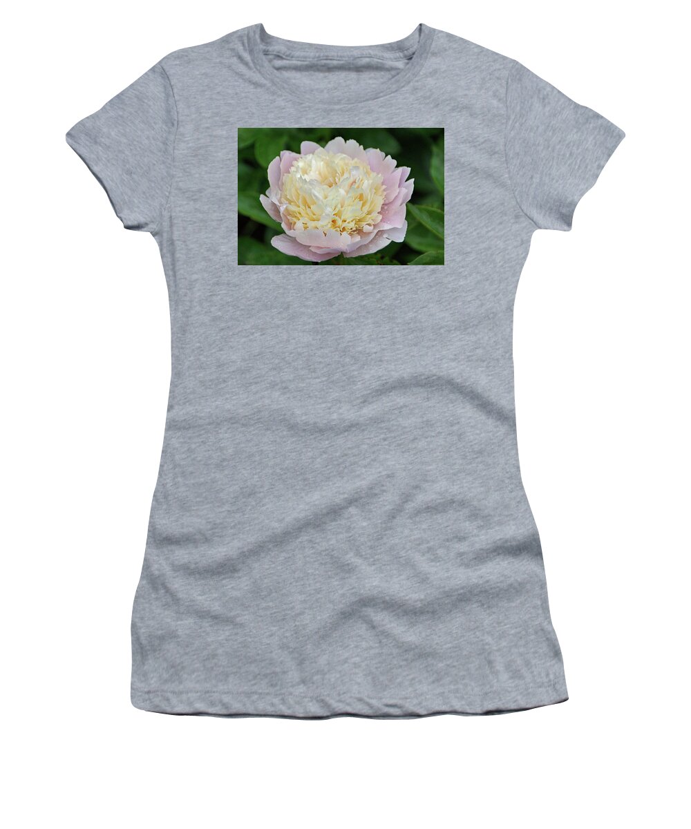 Pink Peony Women's T-Shirt featuring the photograph Two-toned by Sandy Keeton
