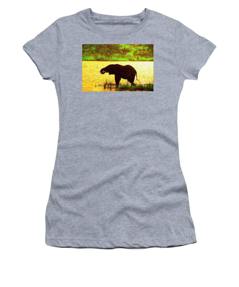 Uganda Women's T-Shirt featuring the photograph Ugandan Elephant by Dennis Cox Photo Explorer