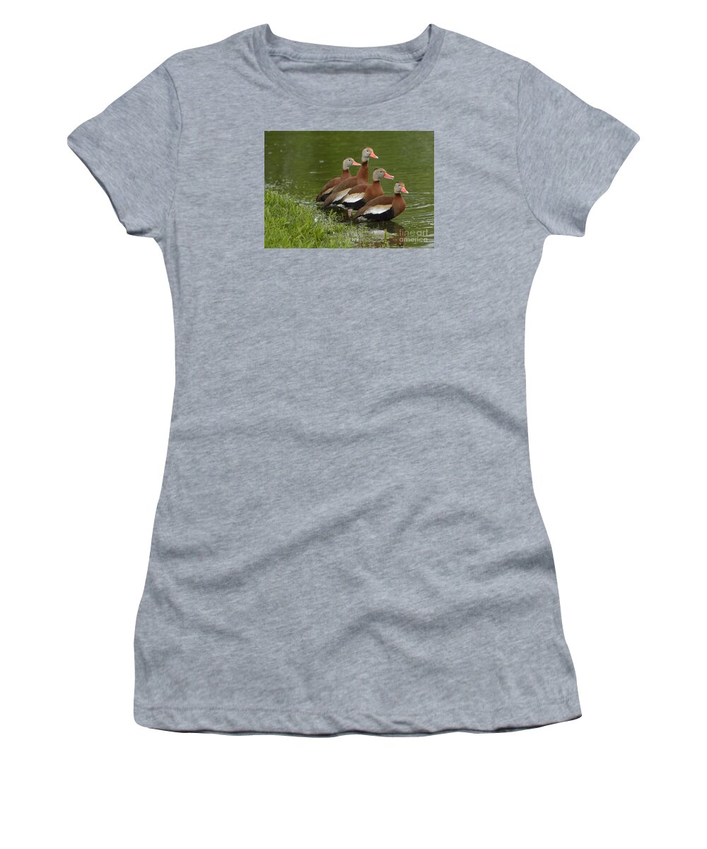 Duck Women's T-Shirt featuring the photograph Unexpected Visitors by Randy Bodkins