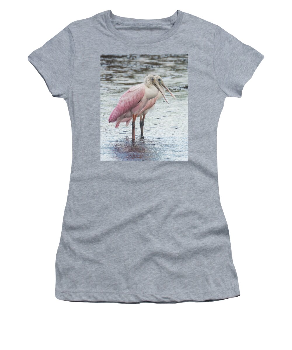 Bird Women's T-Shirt featuring the photograph Unfairweather Friends by Jody Partin