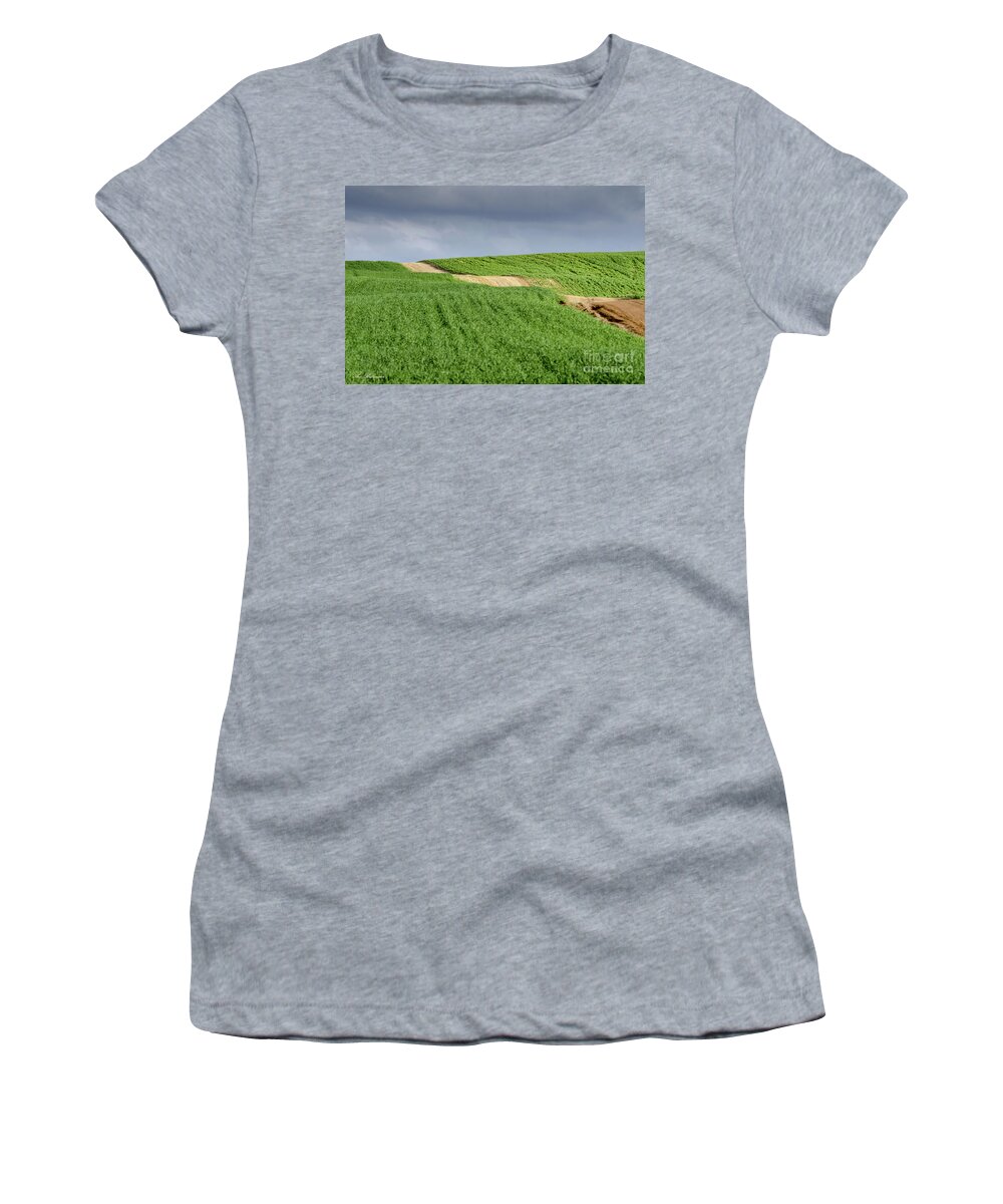 Panorama Women's T-Shirt featuring the photograph Up and down on the way up by Arik Baltinester