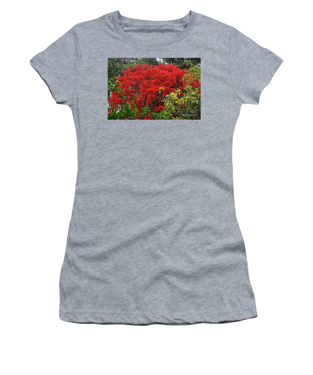 Vibrant Flame Tree Women's T-Shirt featuring the photograph Vibrant Flame Tree by Kaye Menner by Kaye Menner