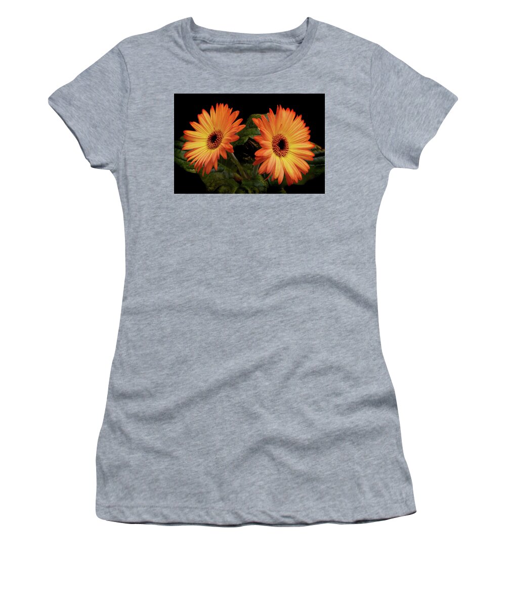 Gerbera Women's T-Shirt featuring the photograph Vibrant Gerbera Daisies by Terence Davis