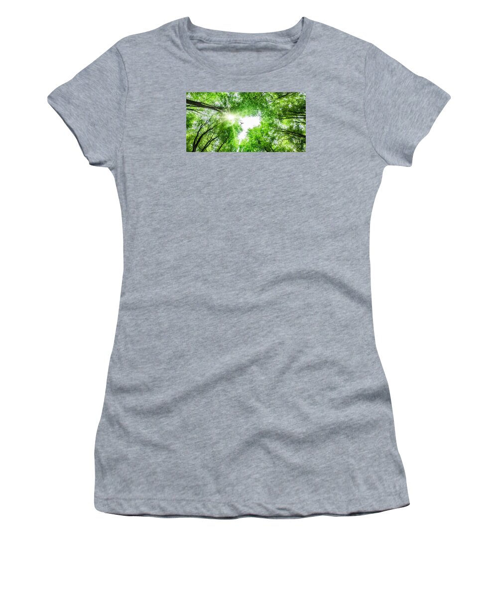 Tree Women's T-Shirt featuring the photograph View through tree canopy with bird soaring by Simon Bratt