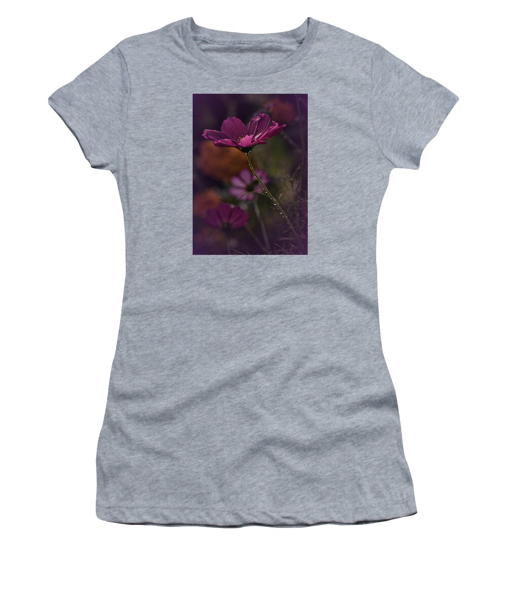 Cosmos Women's T-Shirt featuring the photograph Vintage Cosmos by Richard Cummings