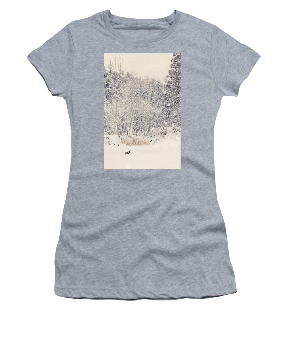 Vintage Snow Print Women's T-Shirt featuring the photograph Vintage Snow Print by Gwen Gibson
