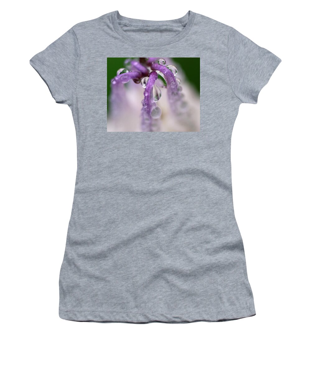 Nature Women's T-Shirt featuring the photograph Violet Mist by Sue Capuano