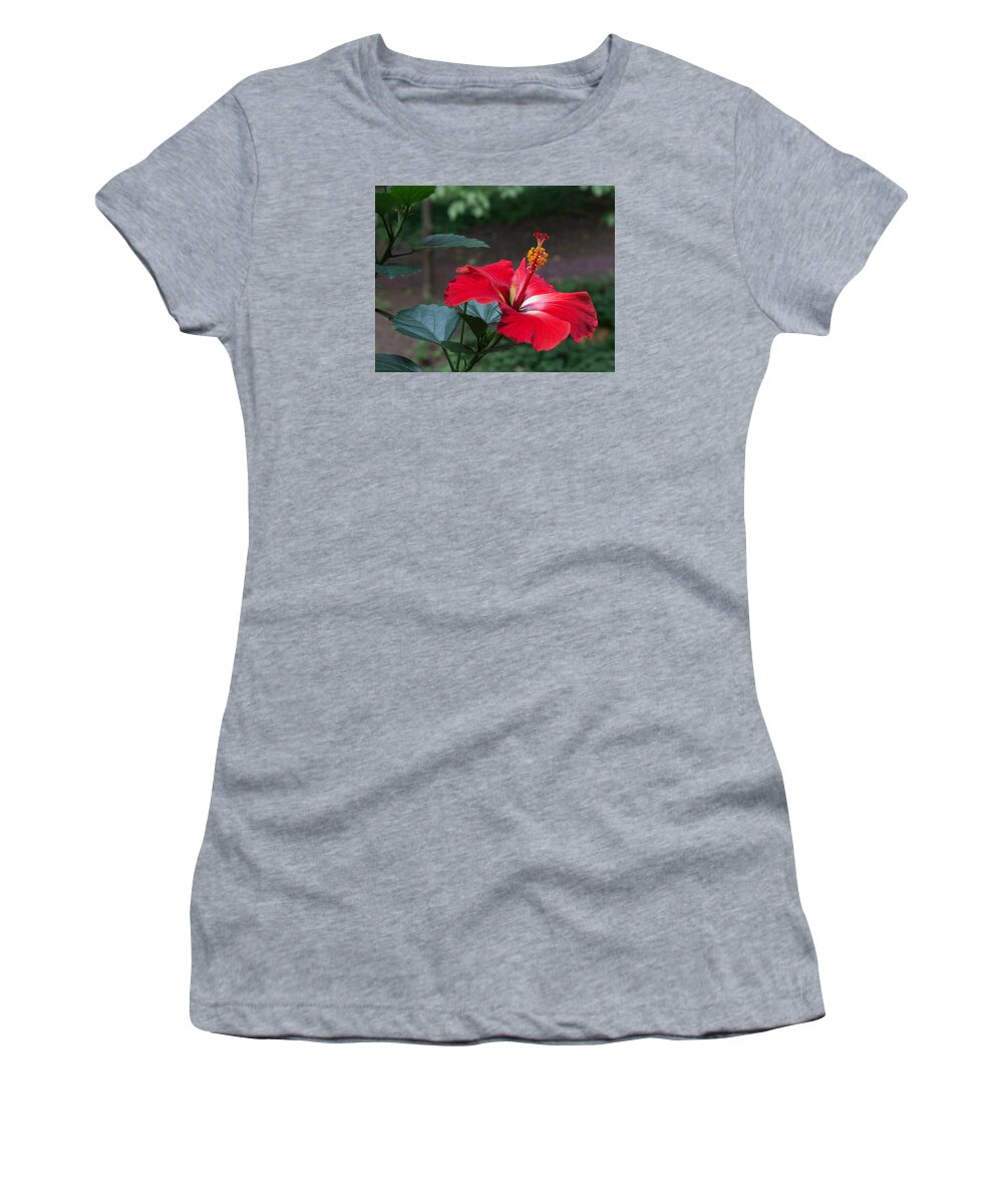 Hibiscus Women's T-Shirt featuring the photograph Vivid Hibiscus by Arlene Carmel