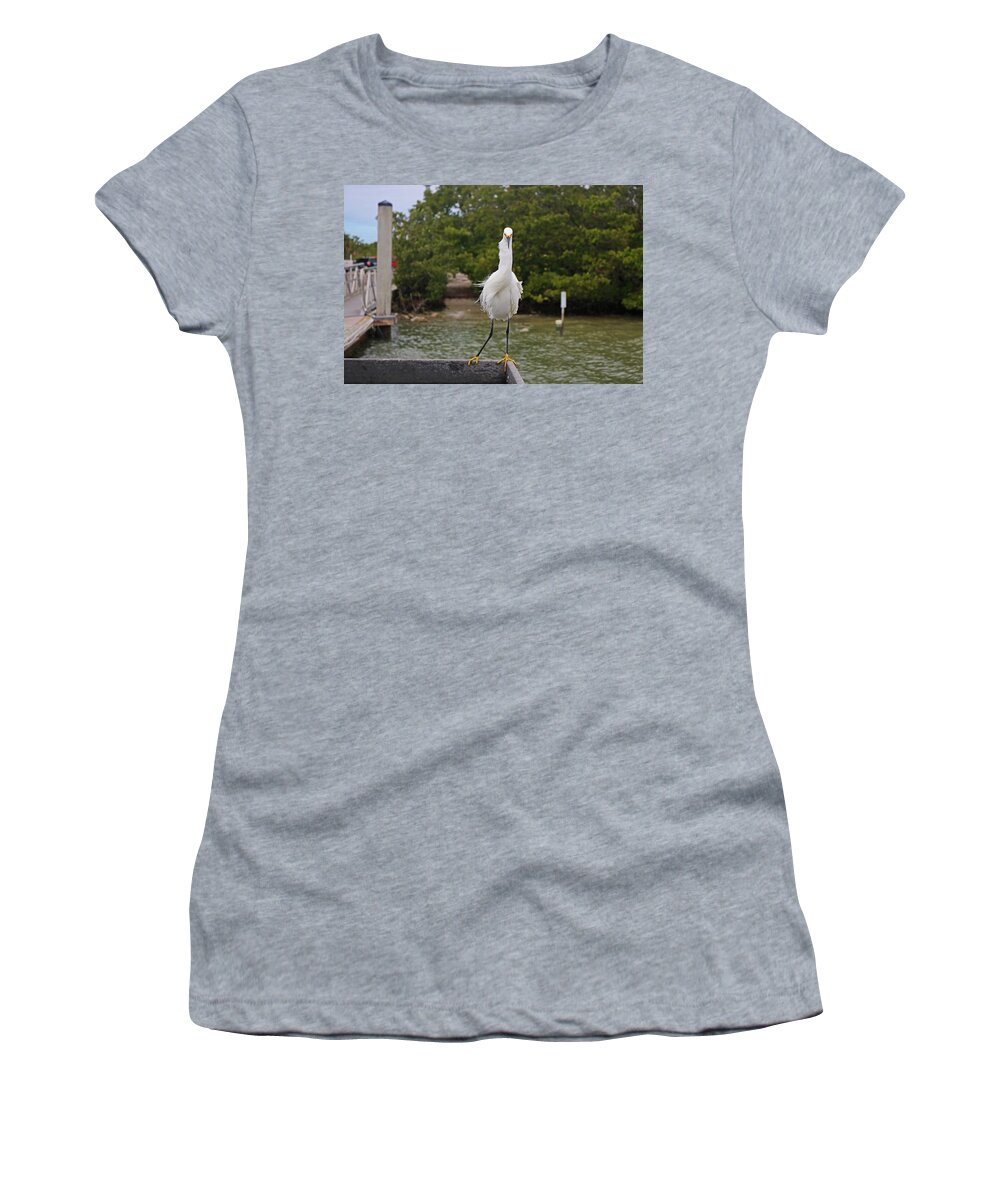 Snowy Egret Women's T-Shirt featuring the photograph Voices in My Head by Michiale Schneider