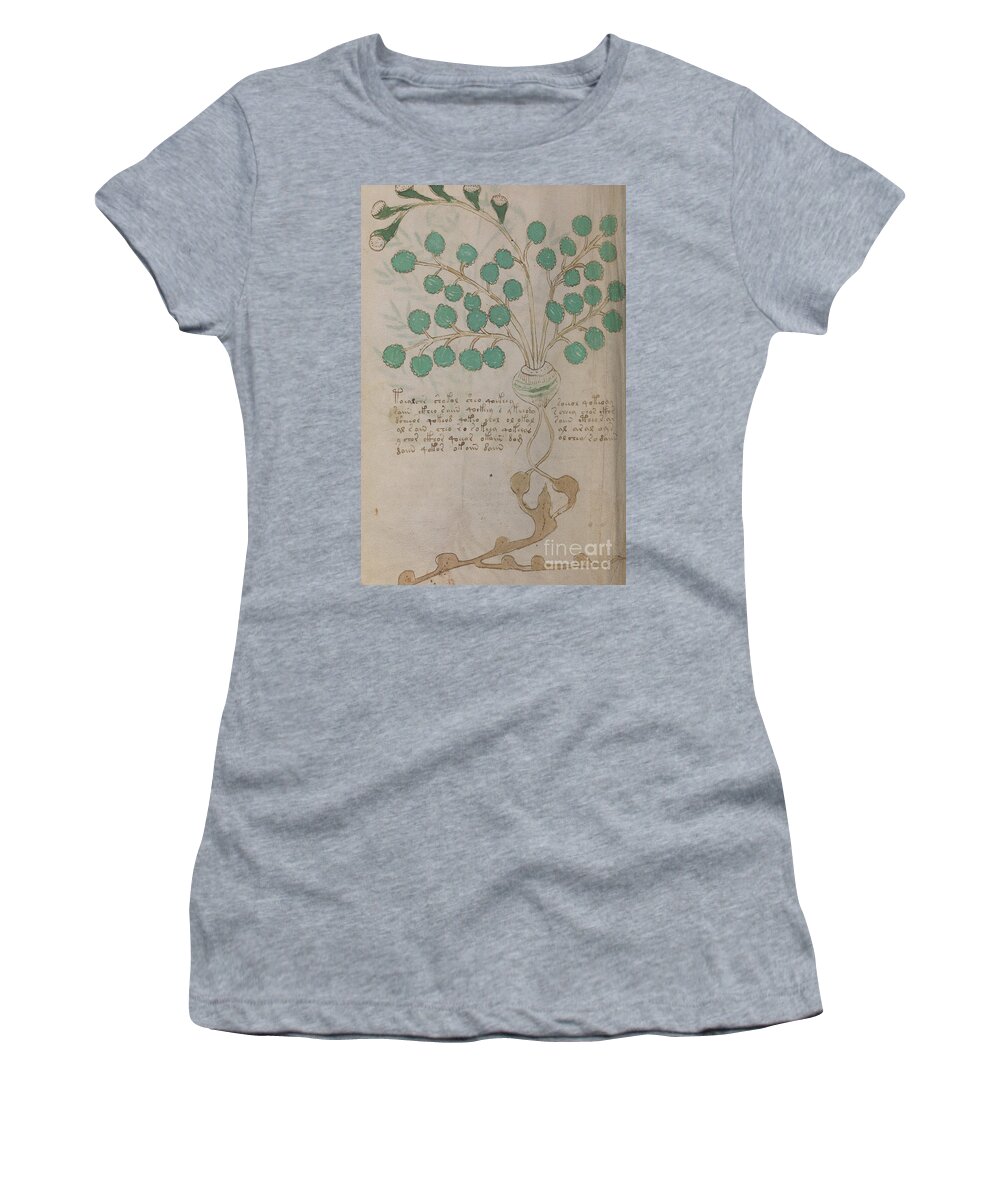 Plant Women's T-Shirt featuring the drawing Voynich flora 19 by Rick Bures