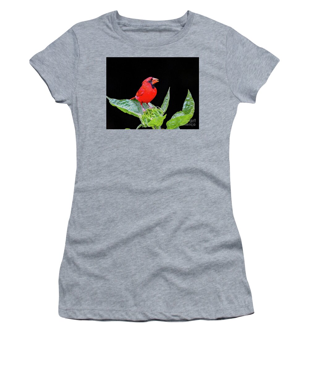 Nature Women's T-Shirt featuring the photograph Waiting by DB Hayes