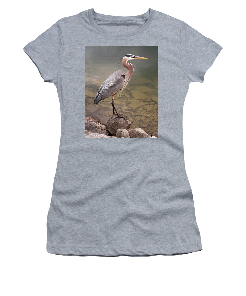 Blue Heron Women's T-Shirt featuring the photograph Waiting by Terri Harper