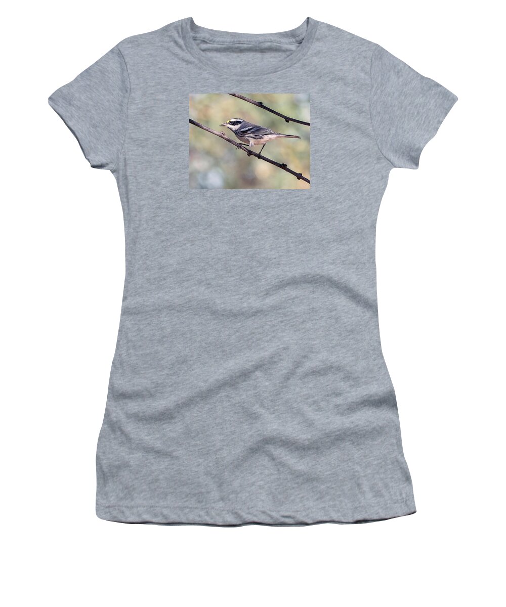 Bird Women's T-Shirt featuring the photograph Black-Throated Gray Warbler by Tam Ryan