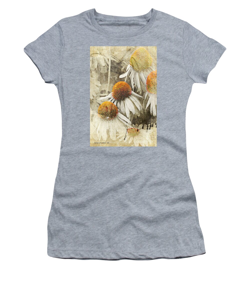 Cone Flowers Women's T-Shirt featuring the photograph Walker Alert...orange Cones Ahead by Rene Crystal