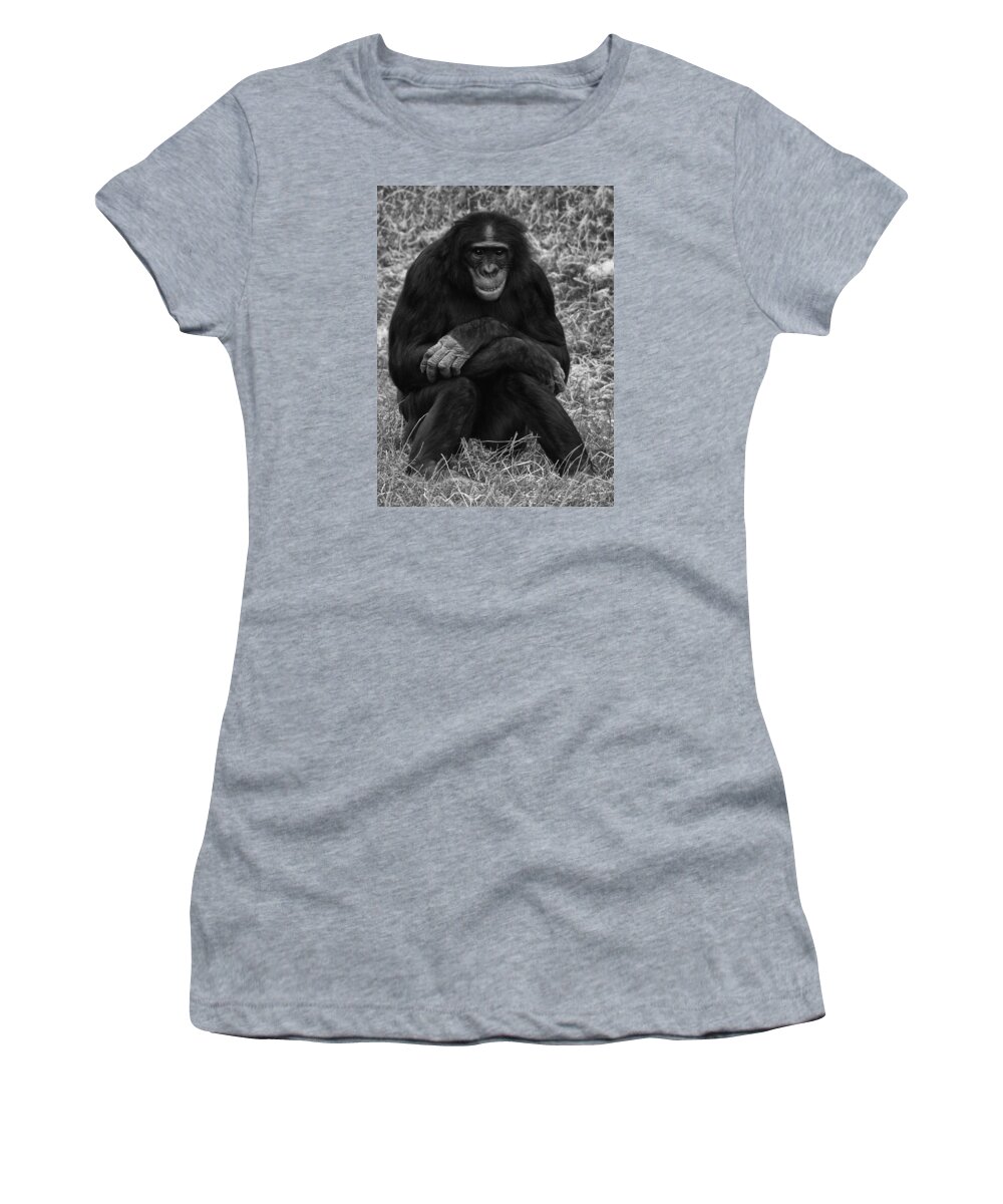 Chimp Women's T-Shirt featuring the photograph Wanna be like you by Nick Bywater