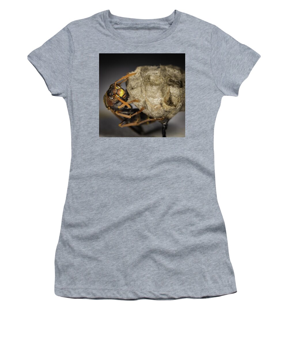 Macro Women's T-Shirt featuring the photograph Wasp by Chris Cousins