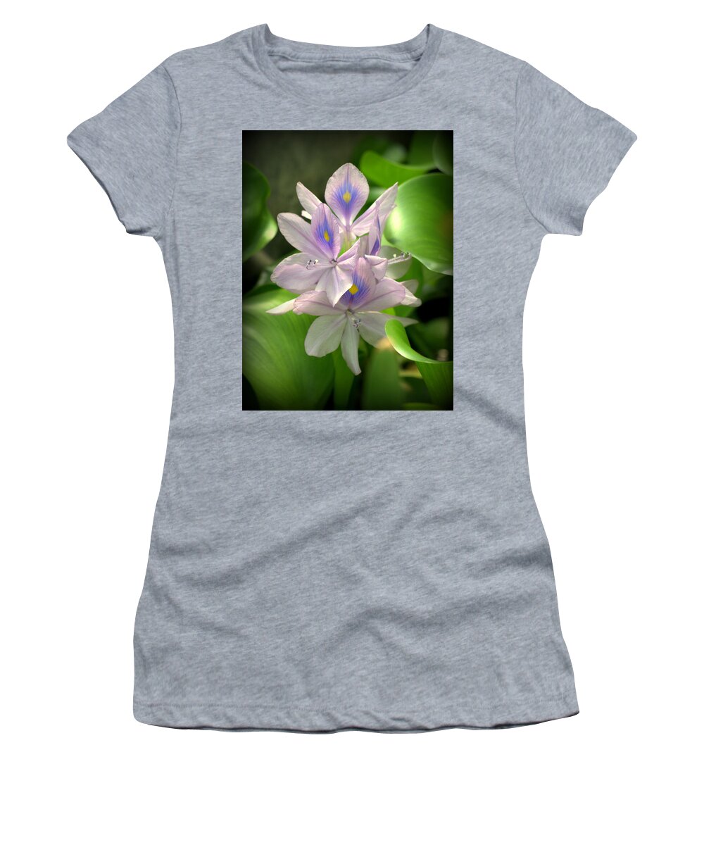 Plant Women's T-Shirt featuring the photograph Water Hyacinth Flower Eichhornia crassipes by Nathan Abbott