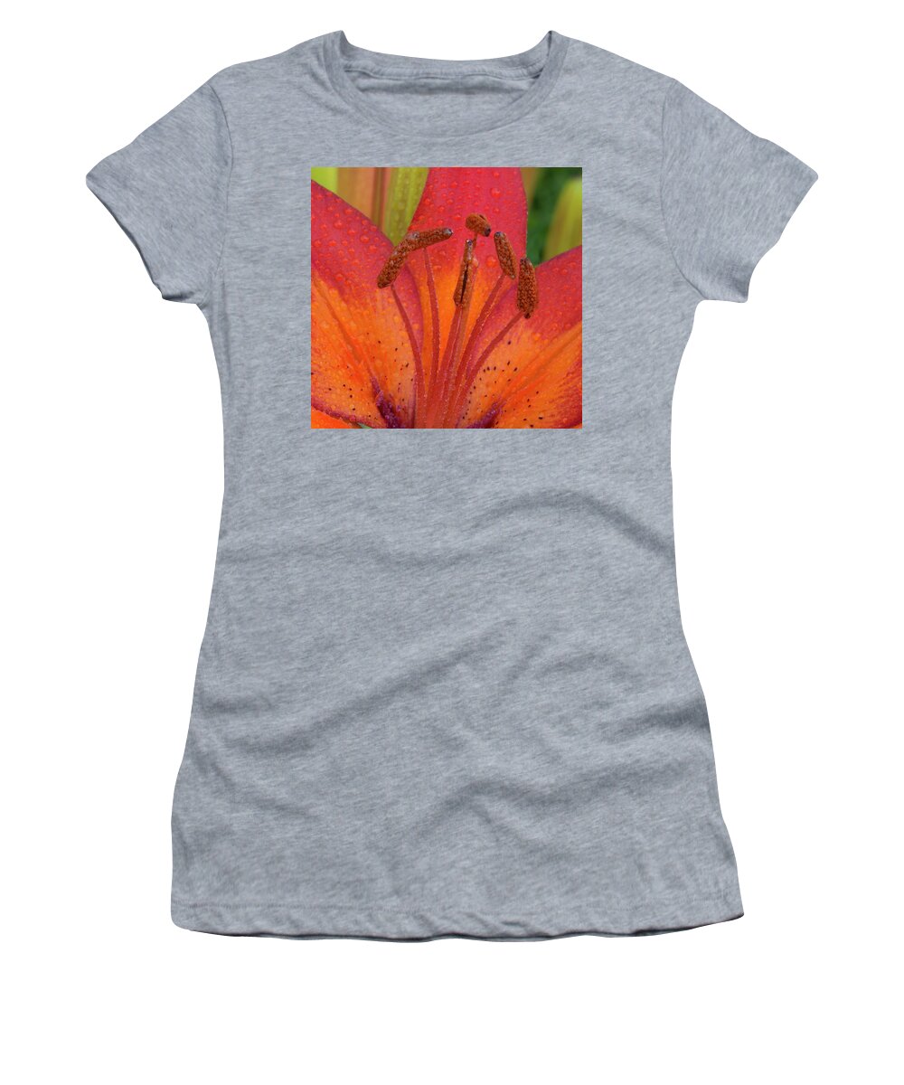 Jean Noren Women's T-Shirt featuring the photograph Watered Lily by Jean Noren