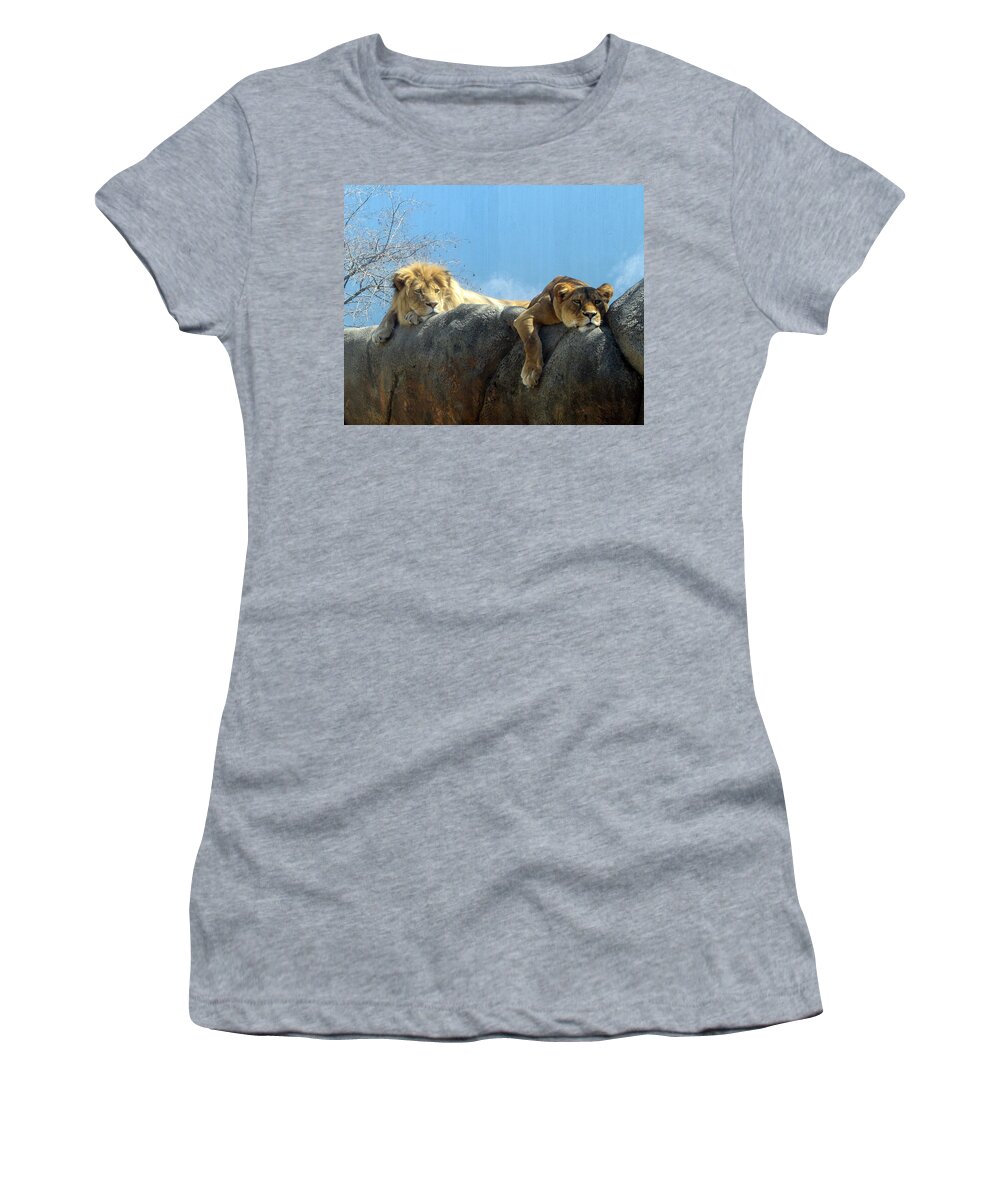 Lion Women's T-Shirt featuring the photograph We Are Tired by George Jones
