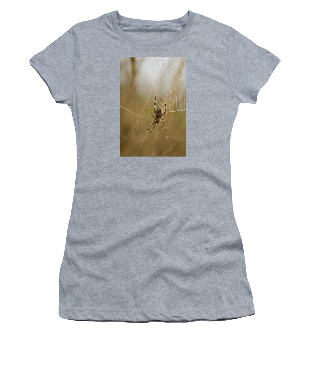 Arachnids Women's T-Shirt featuring the photograph Web Walker by Robert Potts