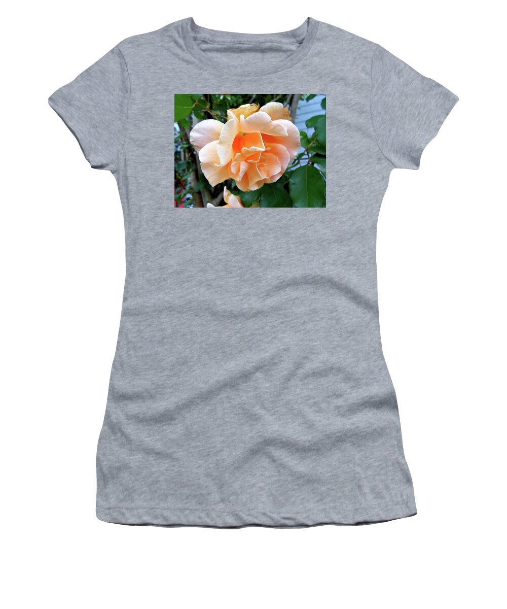 Orange Women's T-Shirt featuring the photograph Weeping Orange Rose by Cynthia Westbrook