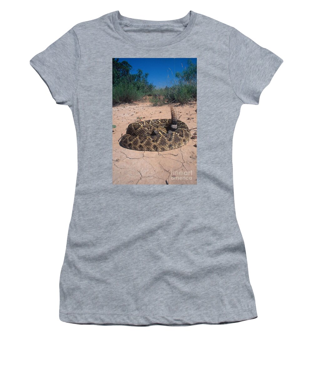 Western Diamondback Rattlesnake Women's T-Shirt