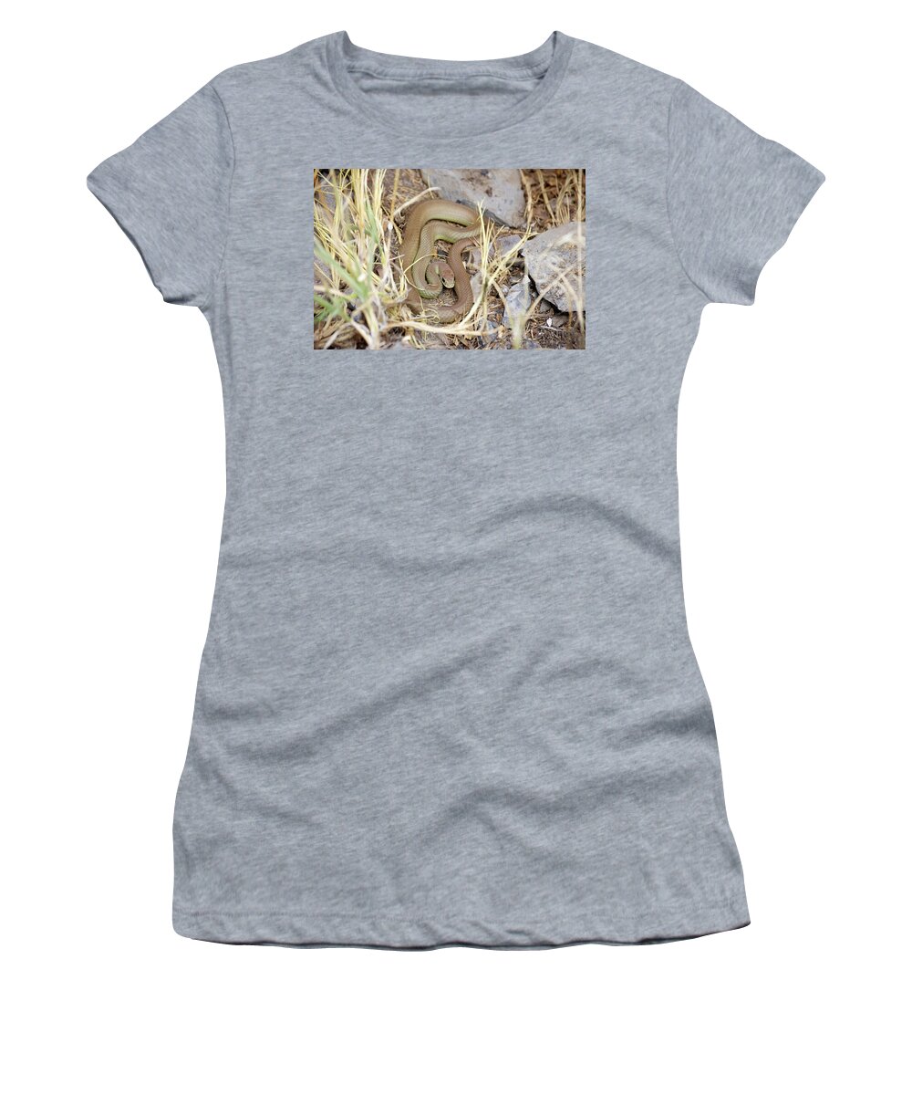 Western Yellow Bellied Racer Women's T-Shirt featuring the photograph Western Yellow-bellied Racer, Coluber constrictor by Breck Bartholomew