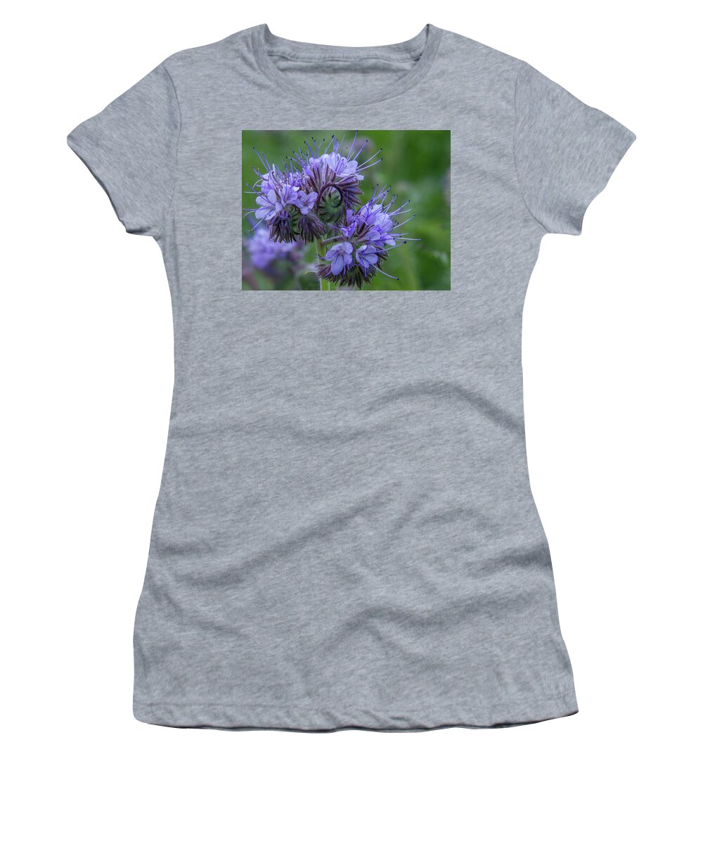 Wildflower Women's T-Shirt featuring the photograph Weston Wildflower by Terry Davis