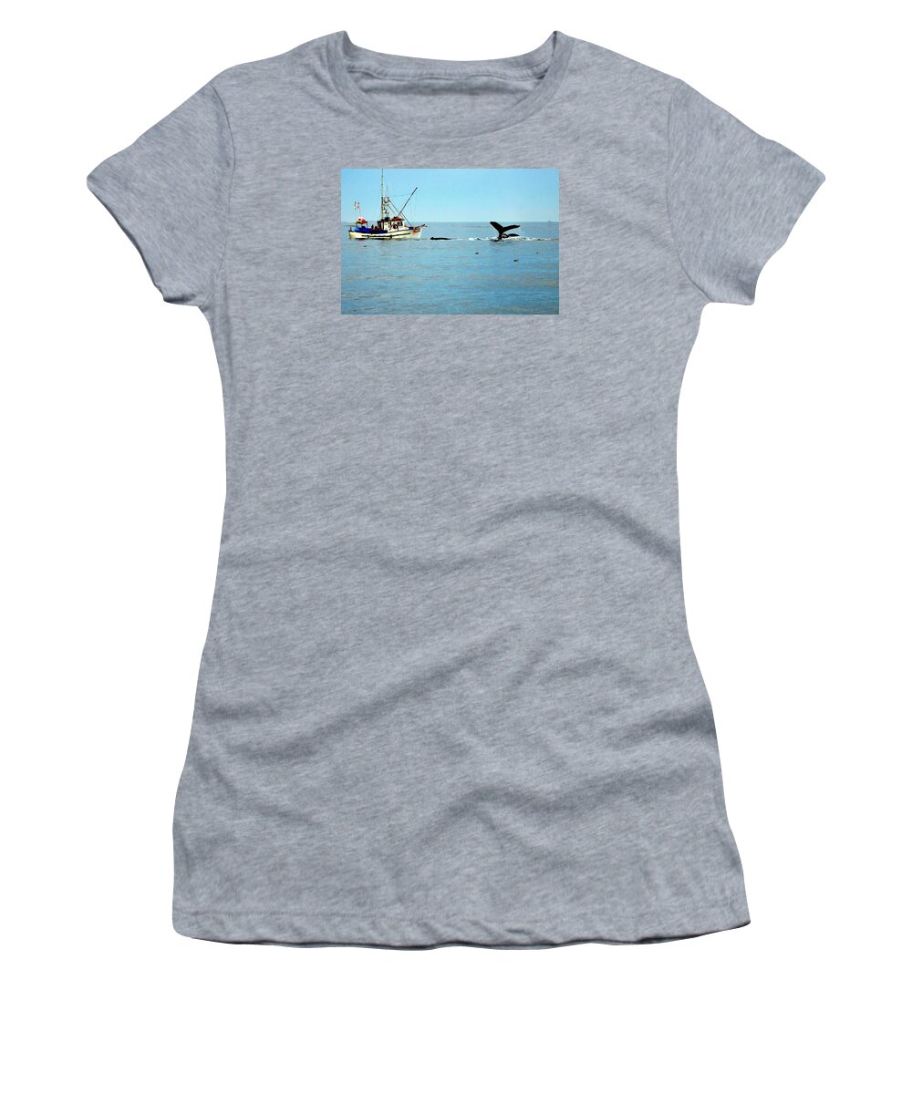 Whale Women's T-Shirt featuring the photograph Whale Watching Moss Landing Series 25. by Antonia Citrino