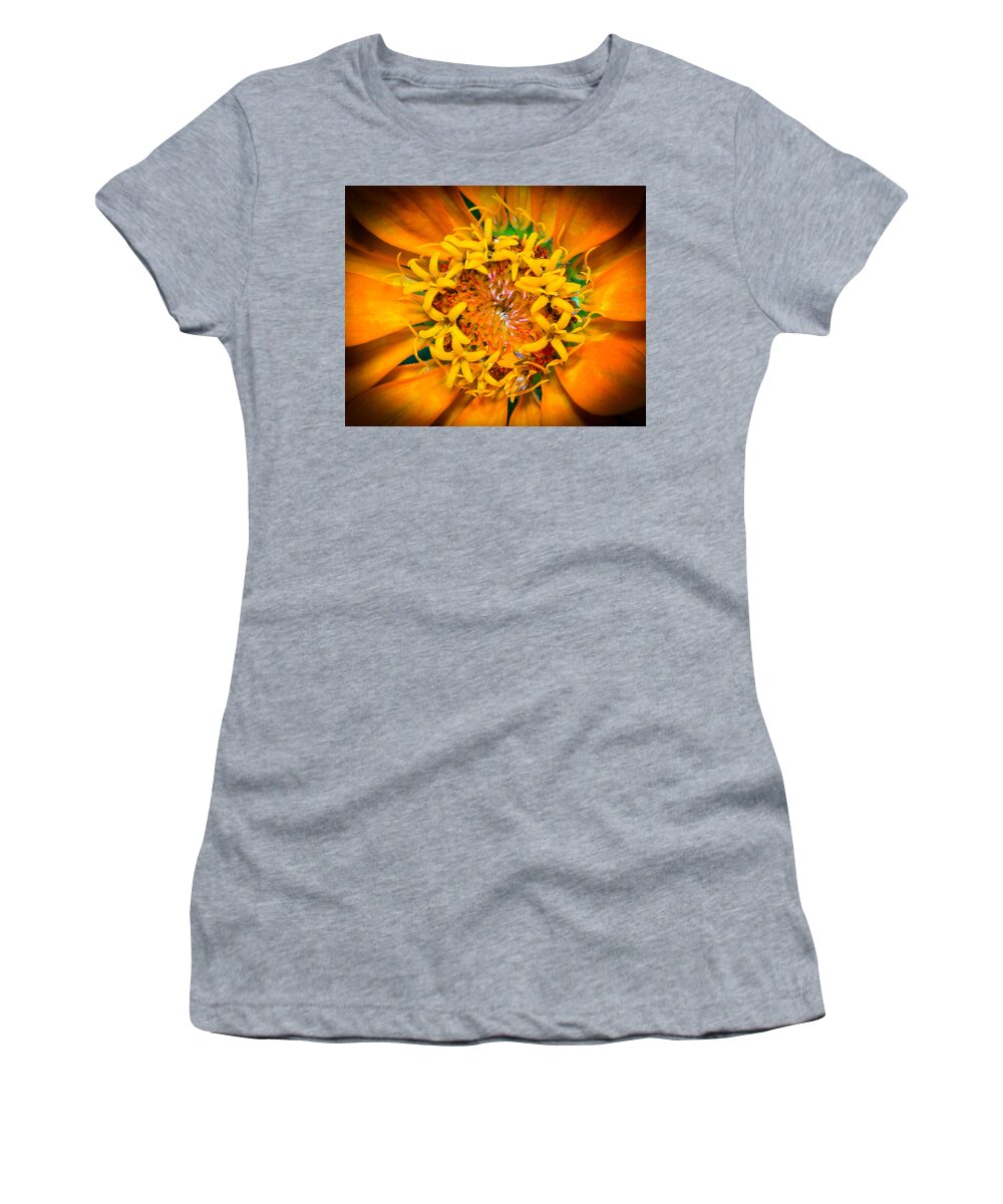 Close-up Of A Zinnia Flower Women's T-Shirt featuring the photograph What a bee sees by Kenneth Cole