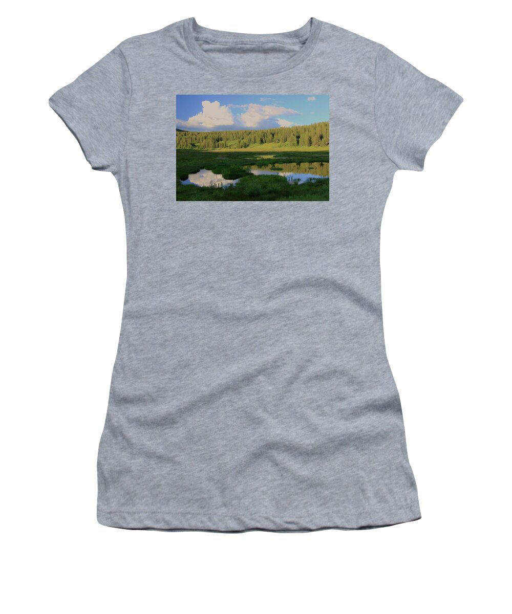 Incline Lake Women's T-Shirt featuring the photograph What's Left Of A Lake by Sean Sarsfield