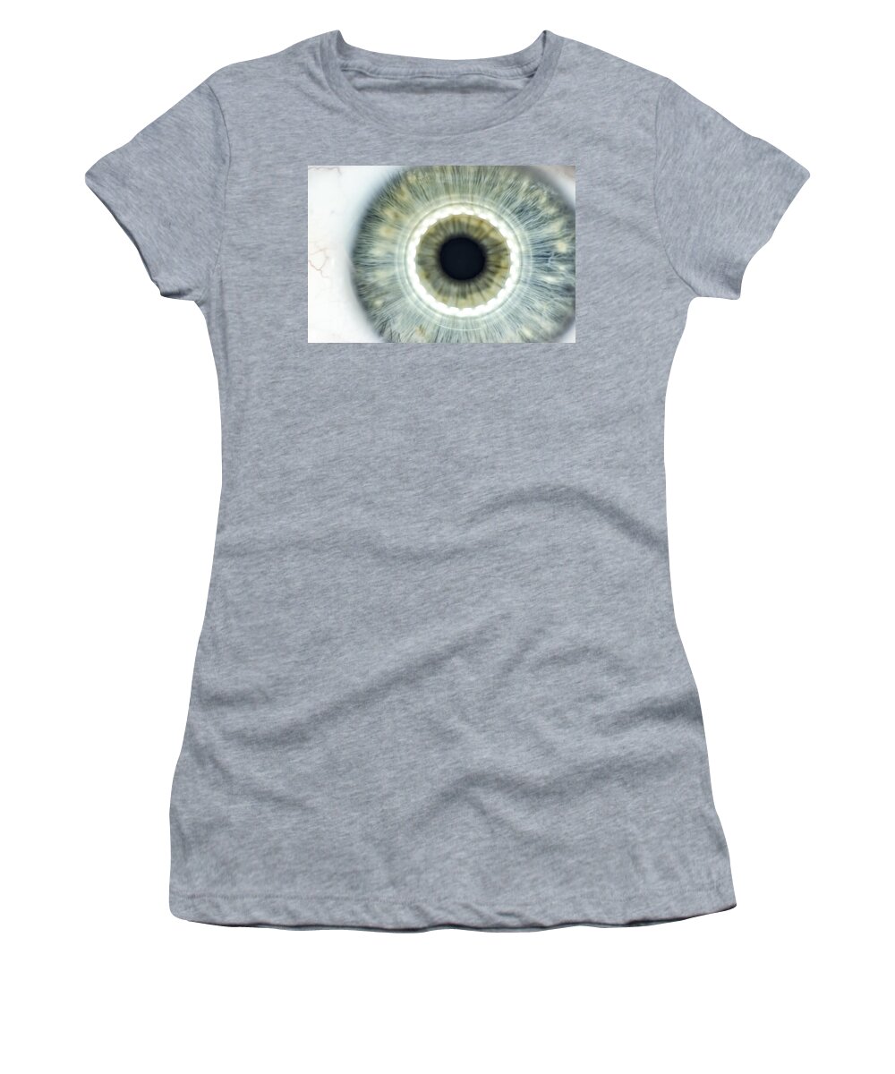 2015 Women's T-Shirt featuring the photograph When You Never See The Light by Sandra Parlow