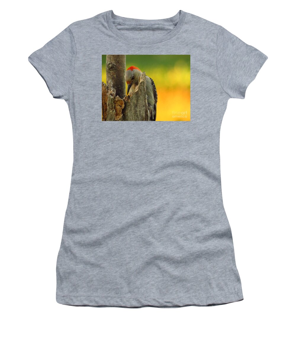 Woods Women's T-Shirt featuring the photograph Where Did It Go by Mike Flake