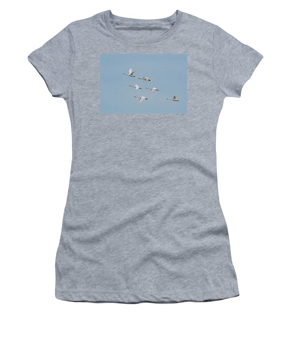 Nature Women's T-Shirt featuring the photograph Whistling Swan in Flight by Donald Brown