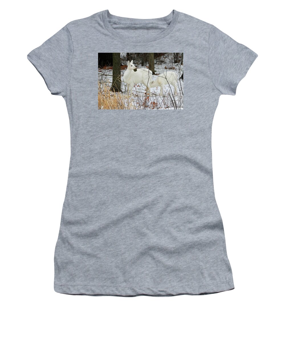 White Women's T-Shirt featuring the photograph White Deer With Squash 2 by Brook Burling