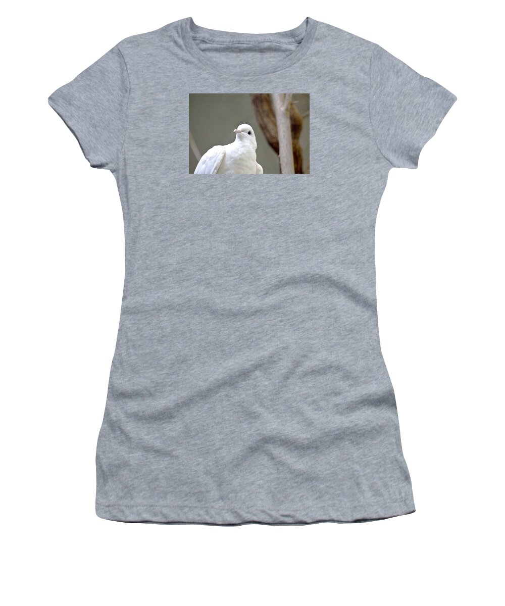 White Women's T-Shirt featuring the photograph White Dove by Tom Handley