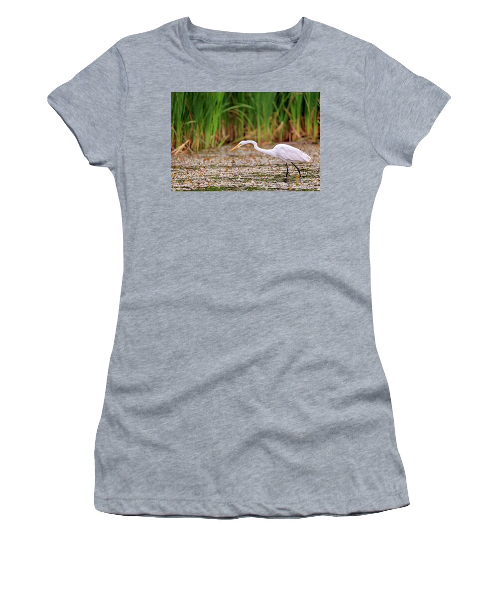 Animal Women's T-Shirt featuring the photograph White, Great Egret by Peter Lakomy