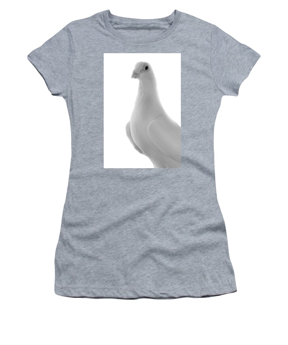 Bird Women's T-Shirt featuring the photograph White Homing Pigeon by Nathan Abbott