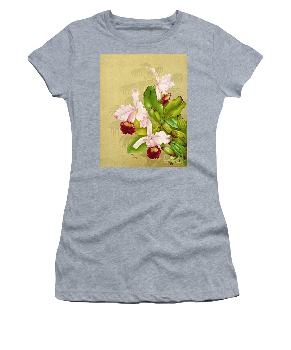 White House Orchid 1892 Women's T-Shirt featuring the photograph White House Orchid 1892 by Padre Art