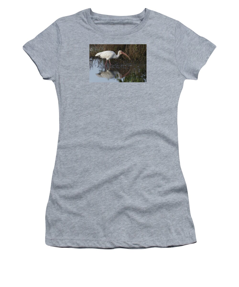 American Women's T-Shirt featuring the photograph White Ibis feeding by David Watkins