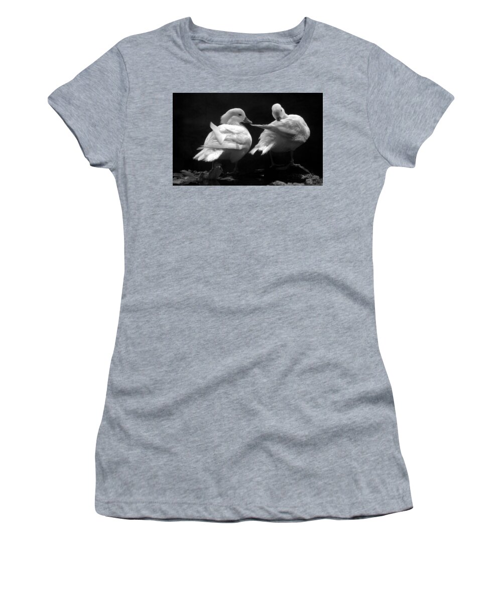 Duck Women's T-Shirt featuring the photograph White Mandarin Ducks Aix galericulata by Nathan Abbott