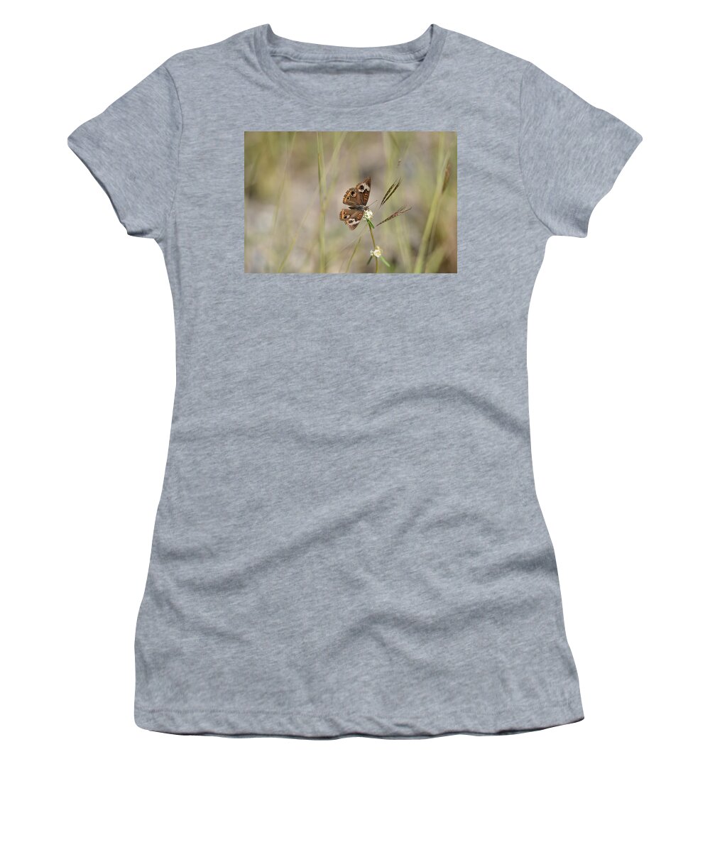 Butterfly Women's T-Shirt featuring the photograph Buckeye Butterfly Resting On White Flowers - Horizontal by Artful Imagery
