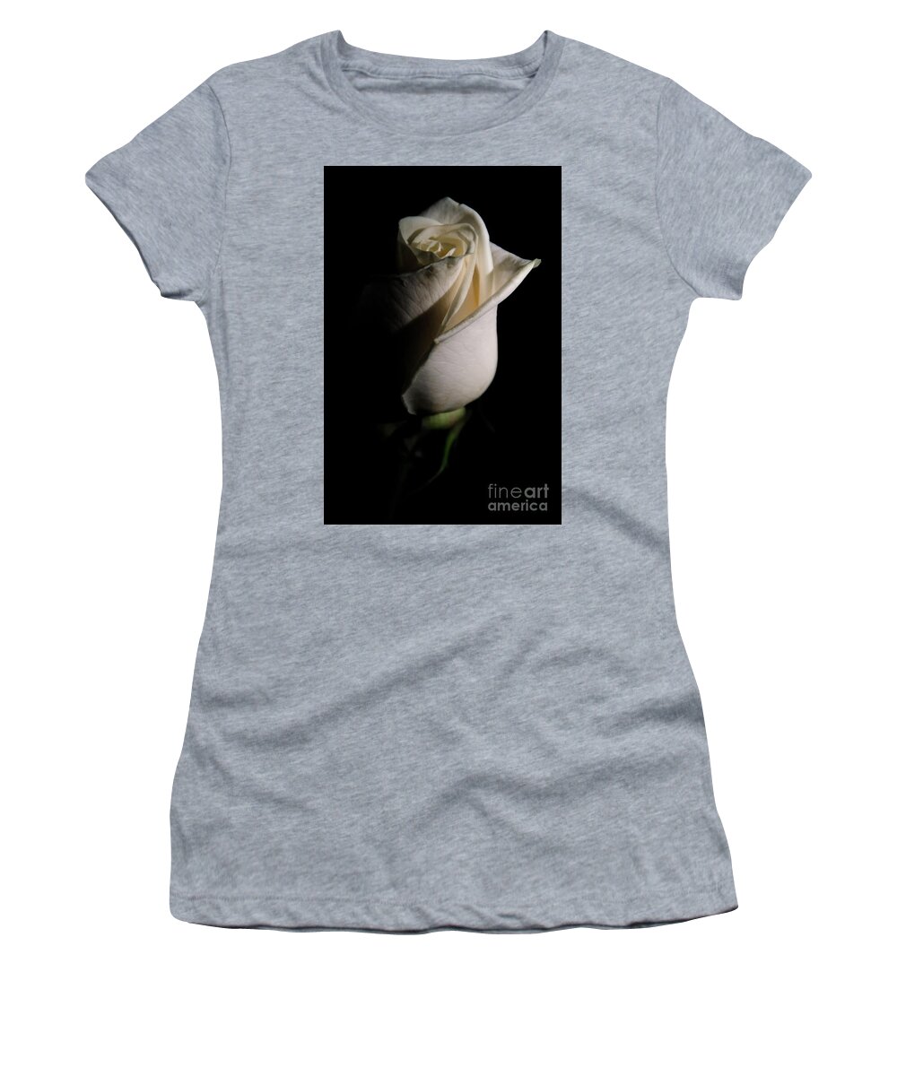 Rose Women's T-Shirt featuring the photograph White Rose Low Key Minimal Botanical / Nature / Floral Photograph by PIPA Fine Art - Simply Solid