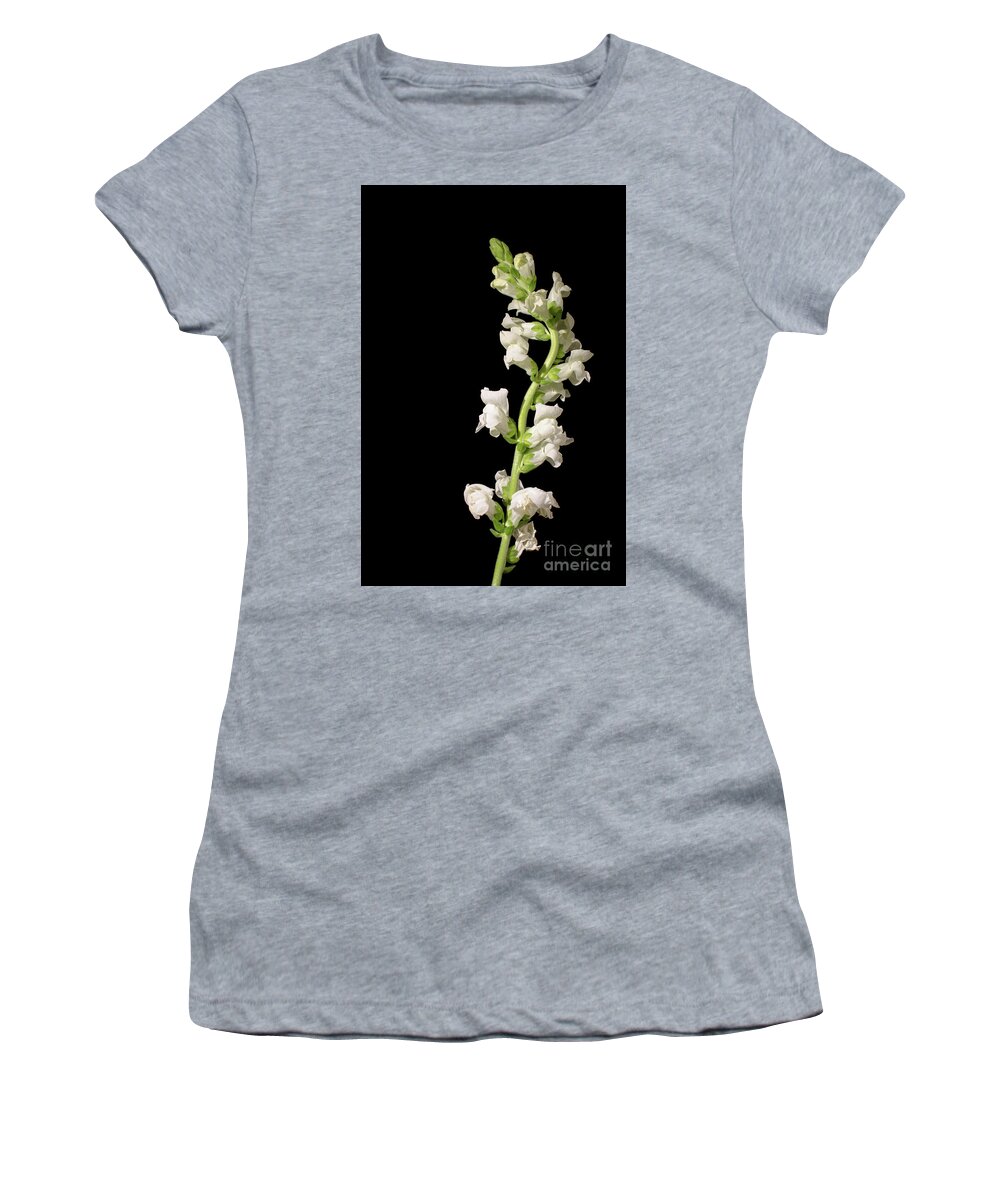 Snapdragon Women's T-Shirt featuring the photograph White Snapdragons on Black Botanical / Nature / Floral Photograph by PIPA Fine Art - Simply Solid