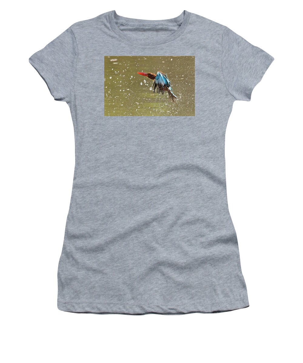 2017 Women's T-Shirt featuring the photograph White-throated Kingfisher by Jean-Luc Baron