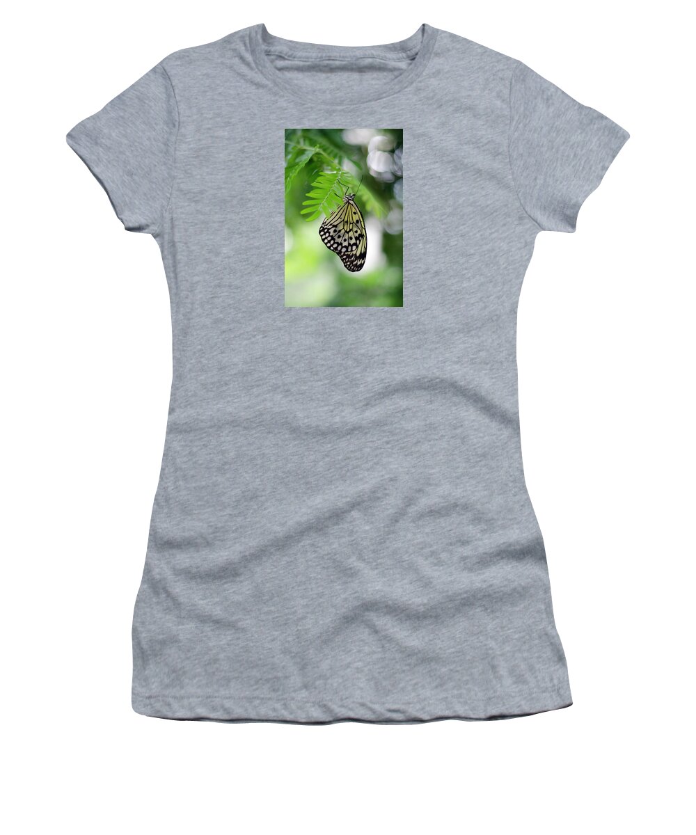 Butterfly Women's T-Shirt featuring the photograph White Tree Nymph Butterfly 2 by Marie Hicks