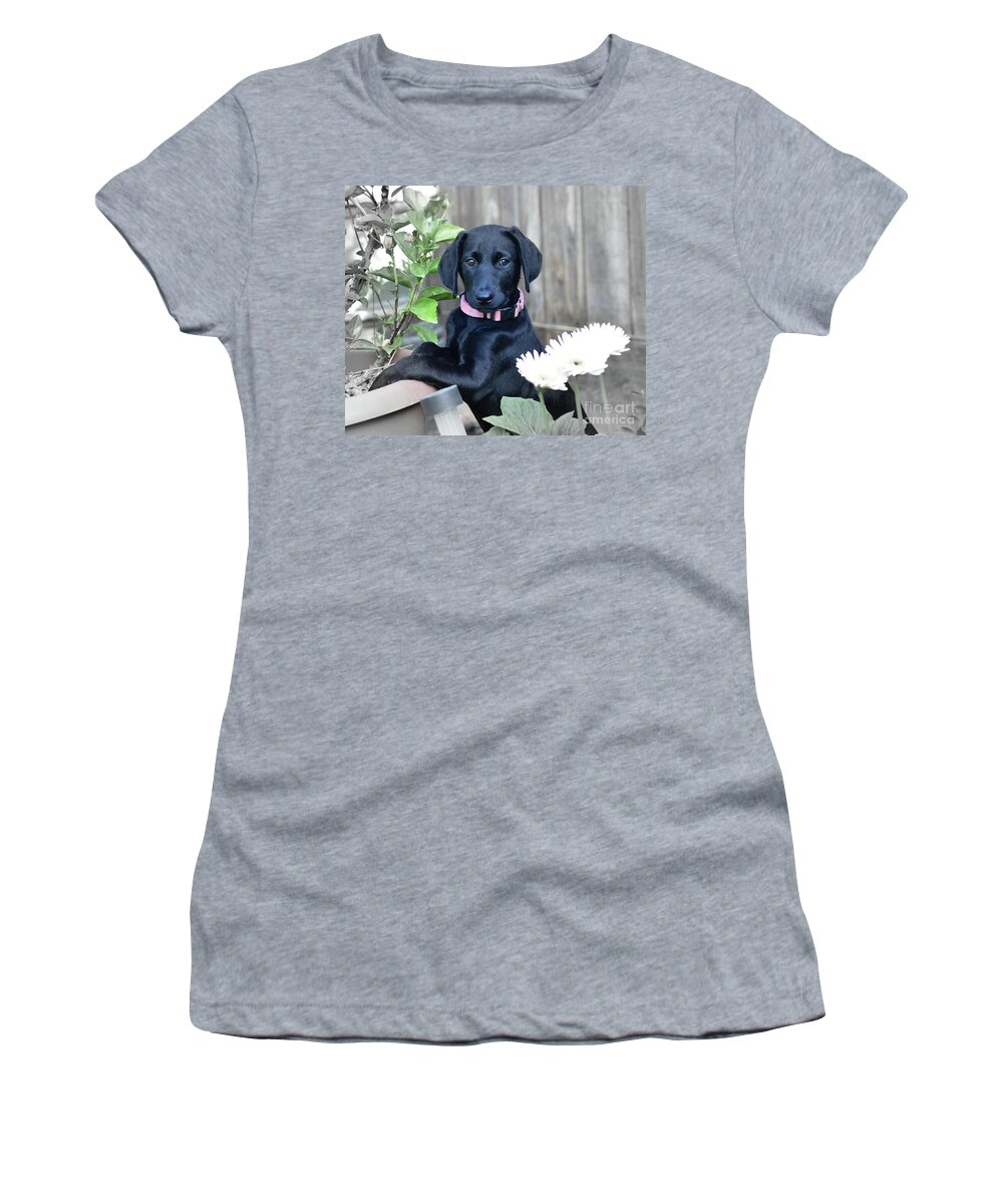 Puppy Women's T-Shirt featuring the photograph Who Me by Debby Pueschel
