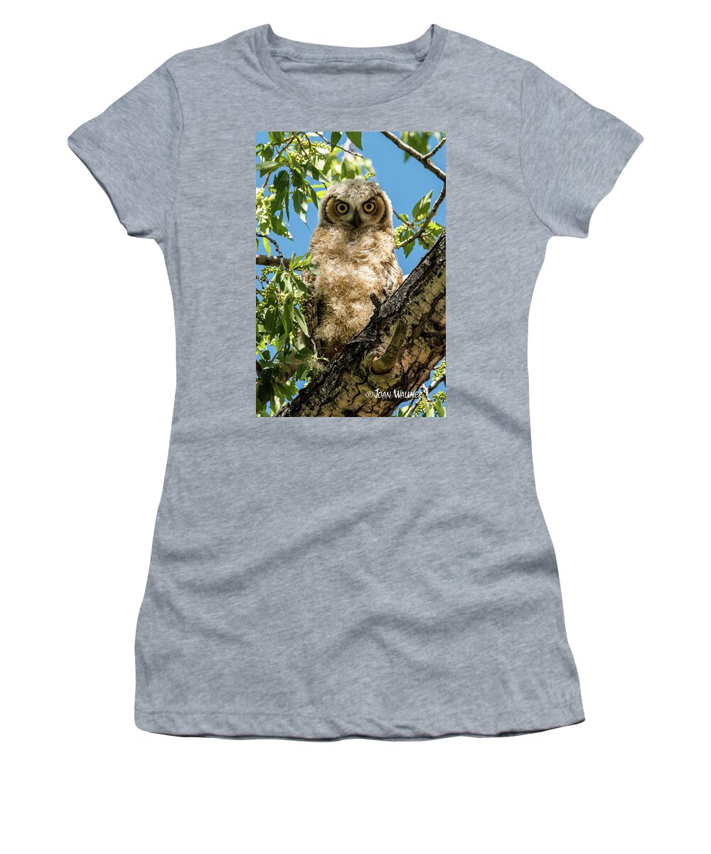 Great Horned Owl Women's T-Shirt featuring the photograph Whooo Are You? by Joan Wallner